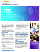 TEFL Flier