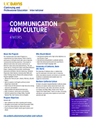 Communication and Culture Program