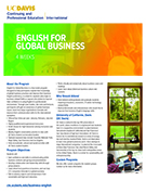English for Global Business Flier