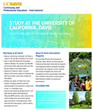 International Programs flier
