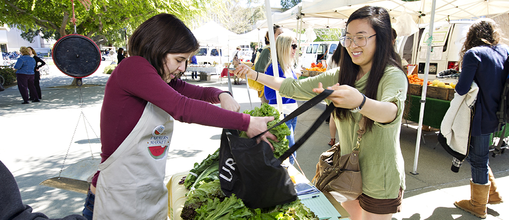 students at farmers market