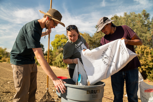 Student volunteers at the Student Farm