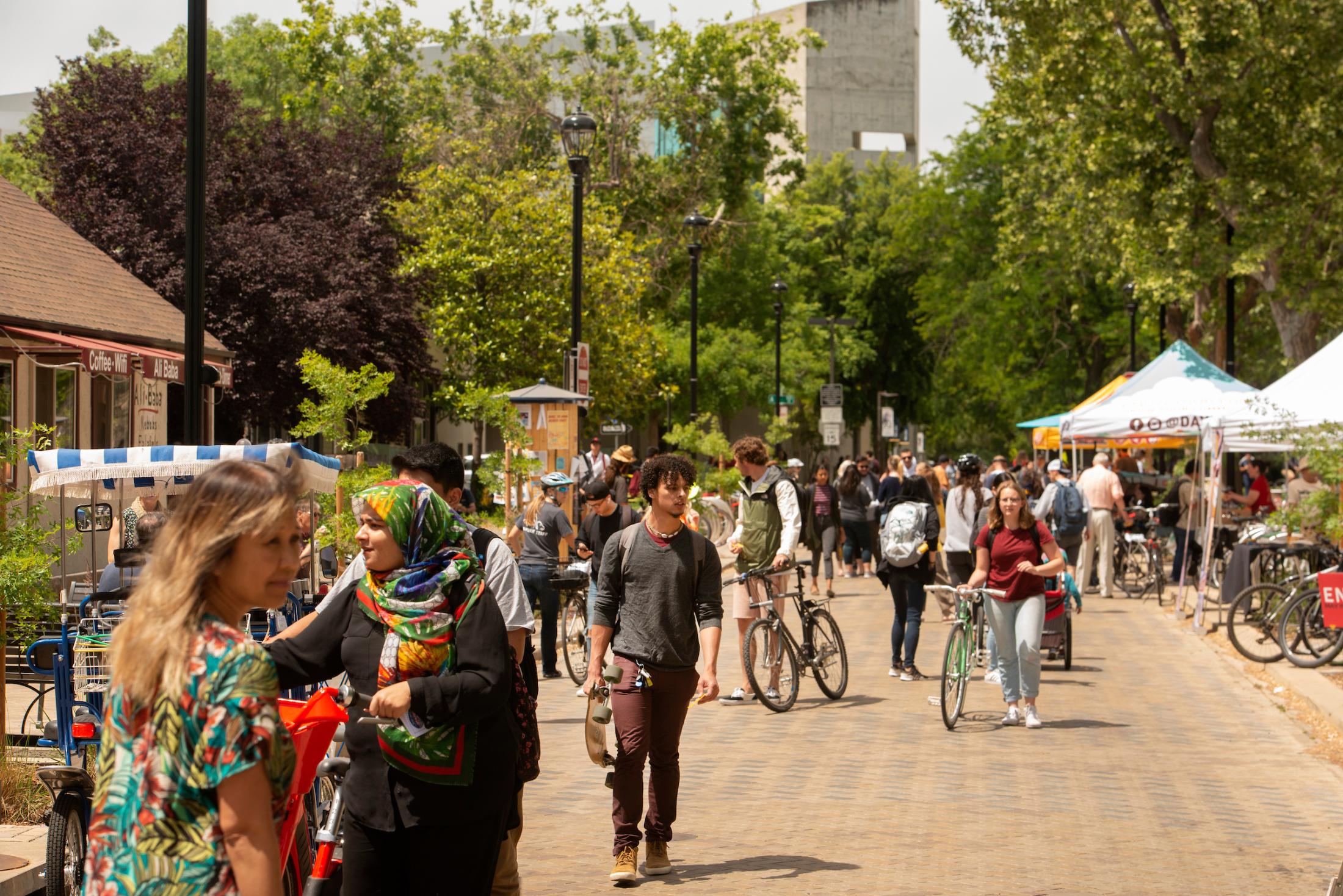 downtown Davis with students and bikes