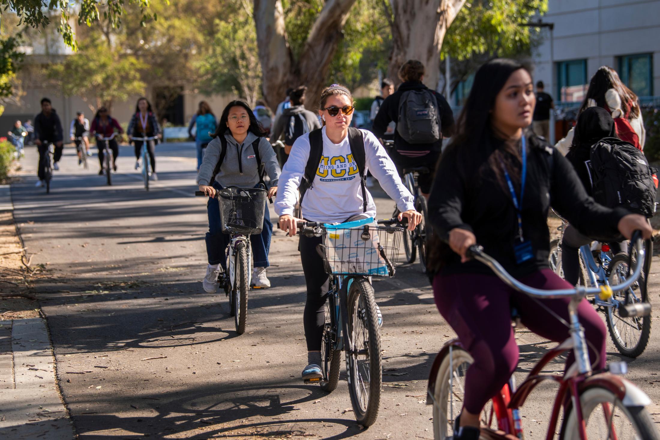 students riding bikes on UC Davis campus