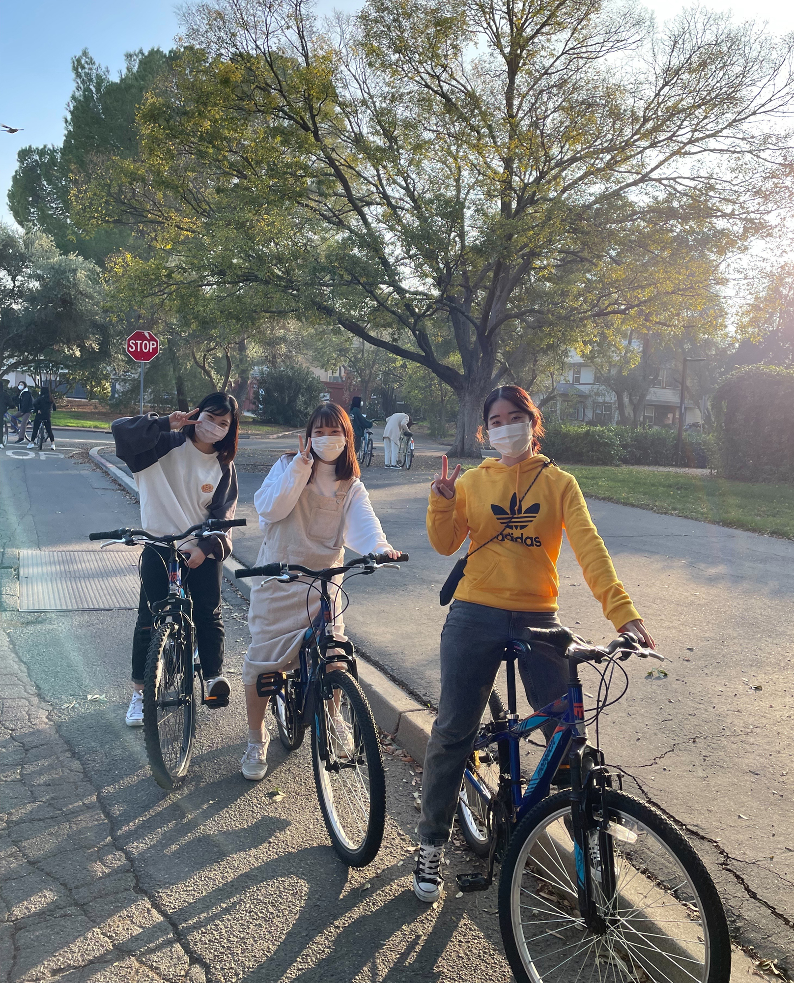 students riding bikes at UC Davis