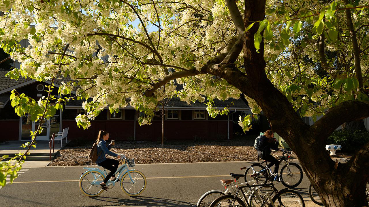 spring flowers blooming and student on bike