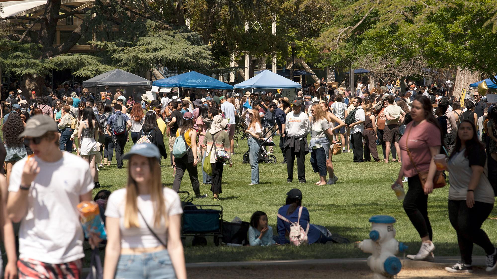 Uc Davis Picnic Day 2025 Rami Charles