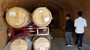 Students touring a winery