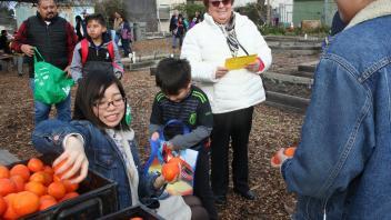 Students at a volunteer activity