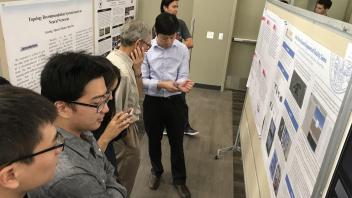 Students viewing posters