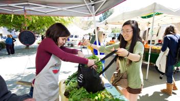 A student loads up a bag with fresh produce from the student farm at the UC Davis Farmer's Market