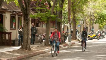Students frequently ride their bike to and from campus in Davis