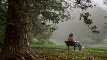 A woman reads in the Arboretum near Lake Spafford on a foggy day