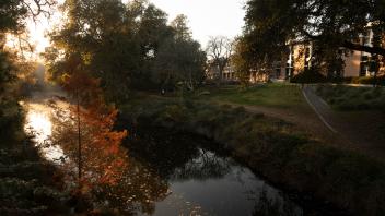 Sundown on the Water Way in the Arboretum