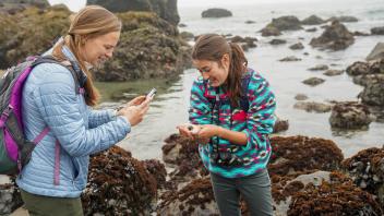 students explore a beach and tidepools at Bodega Bay