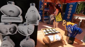 UC Davis Picnic Day booth on the Eggheads at the Jan Shrem and Maria Manetti Shrem Museum on Art.