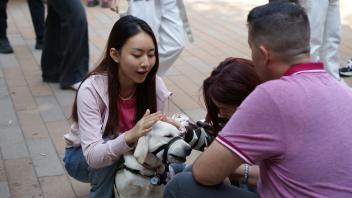 A UC Davis GSP student meets Cali from the Davis Campus PD k9 unit
