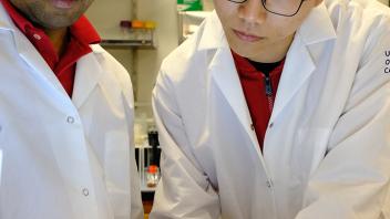 Dr. Abhilash Padavannil and Bolun Zhang review protein gels from their SDS-PAGE experiment on the transilluminator in Letts Lab