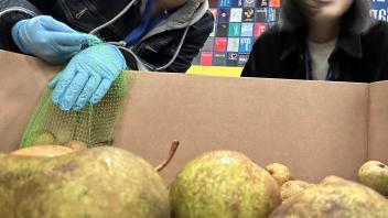 Seikei High School students help at the Sacramento Food Bank