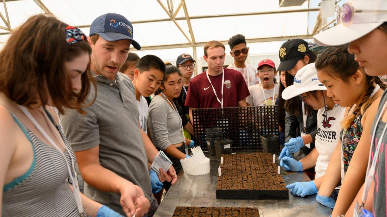 Youth Programs Continuing and Professional Education International