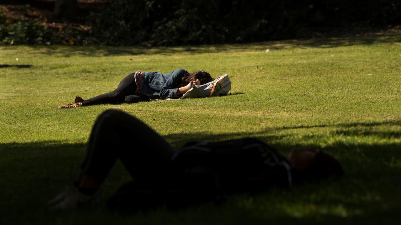 Student taking a nap at the arboretum