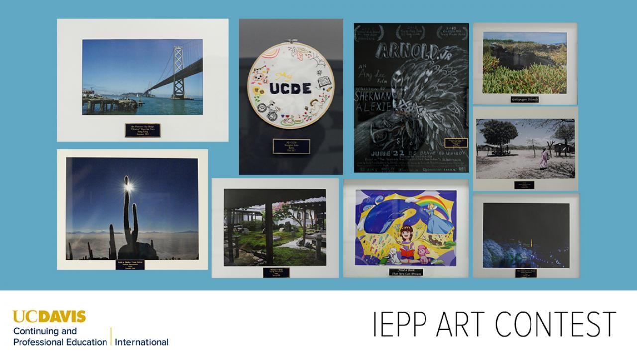 International English Programs banner