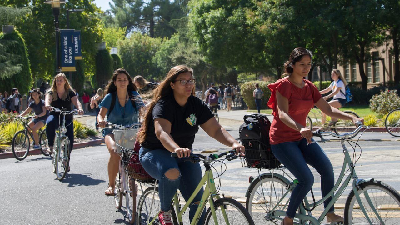 Students on campus riding their bicycles