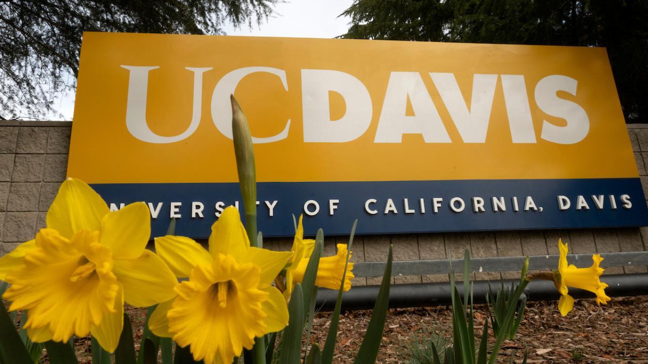 UC Davis campus sign and spring flowers