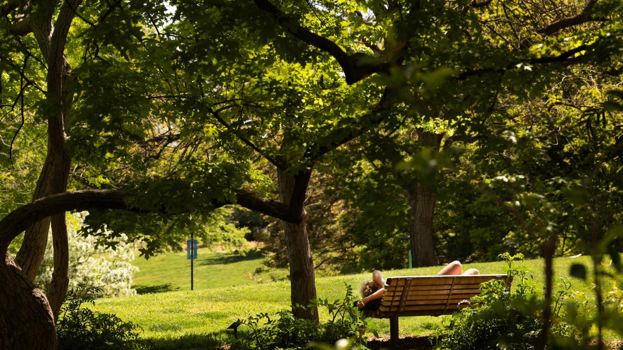 A student enjoys the spring weather on a bench in the Arboretum