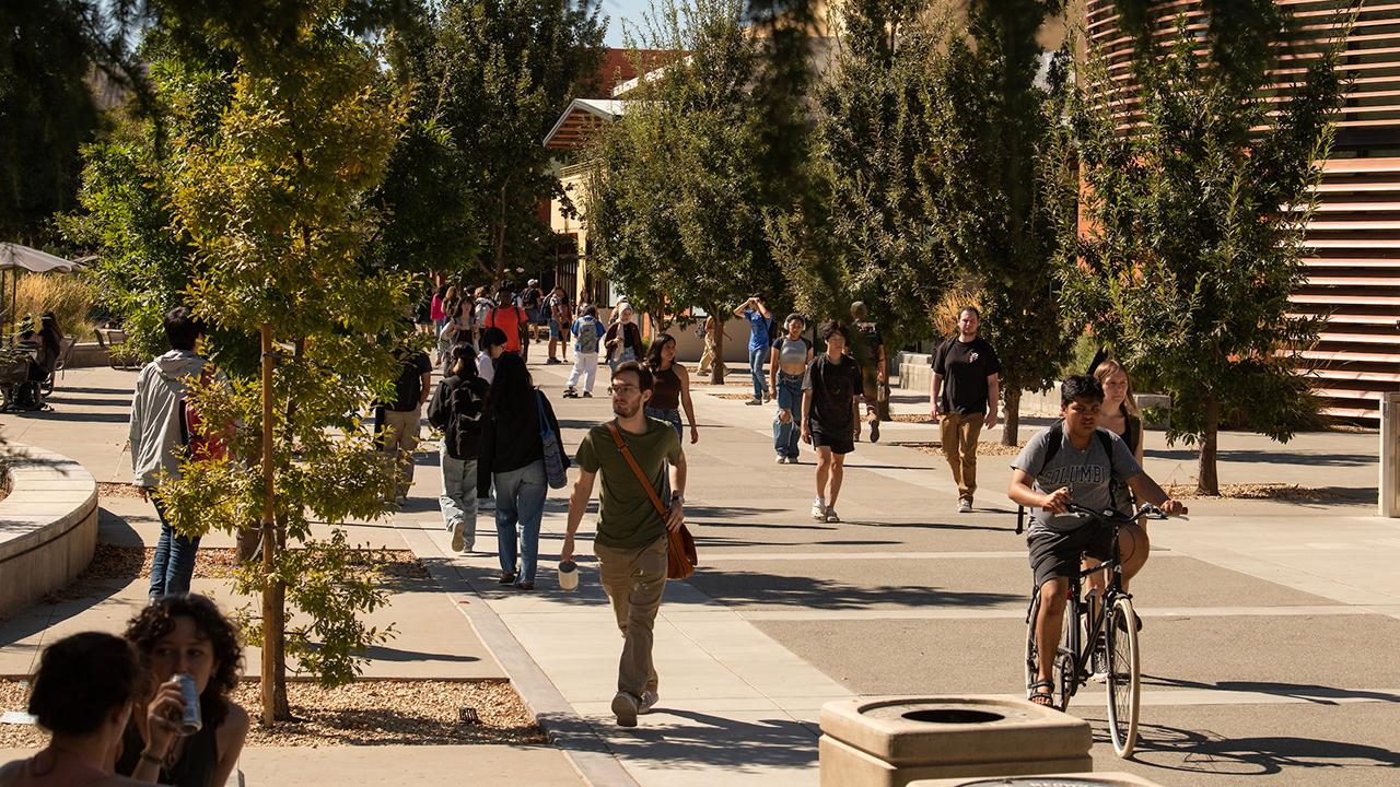 Students walk passed the bike racks and in front of the UC Davis Graduate Center
