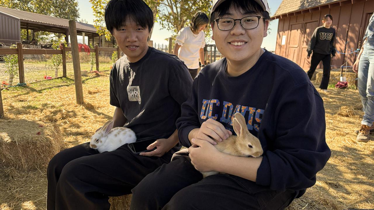 UC Davis international students hold bunnies during a field trip to a local farm.