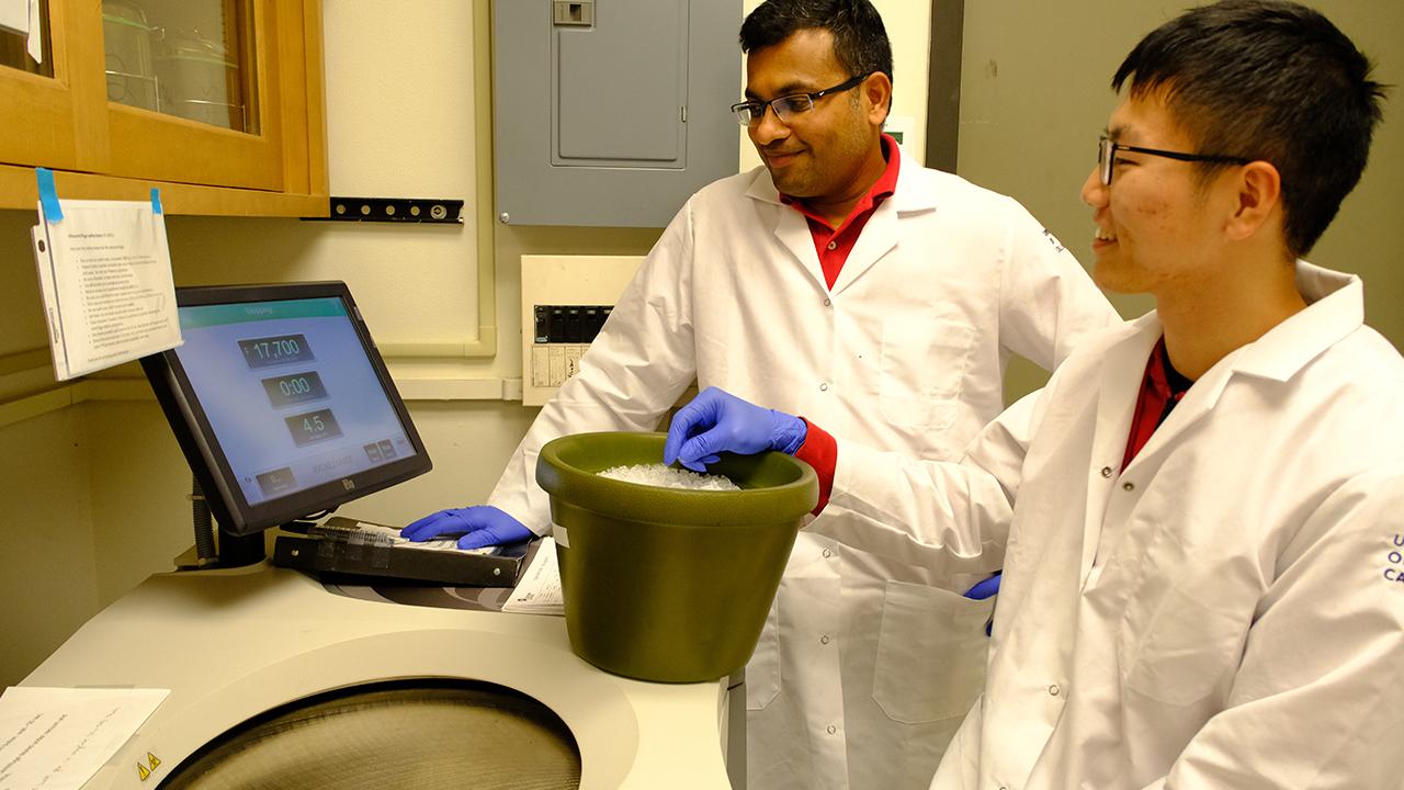 GREAT Program student Bolun Zhang and Dr. Abhilash Padavannil wait for their test sample processing countdown