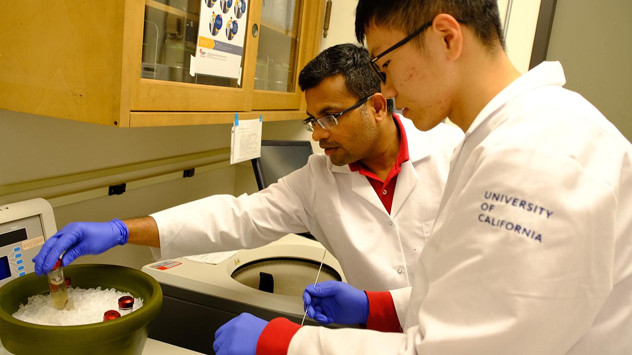 A GREAT program student and Professor Padavannil transfer a sample into the cooling bucket during their experiment