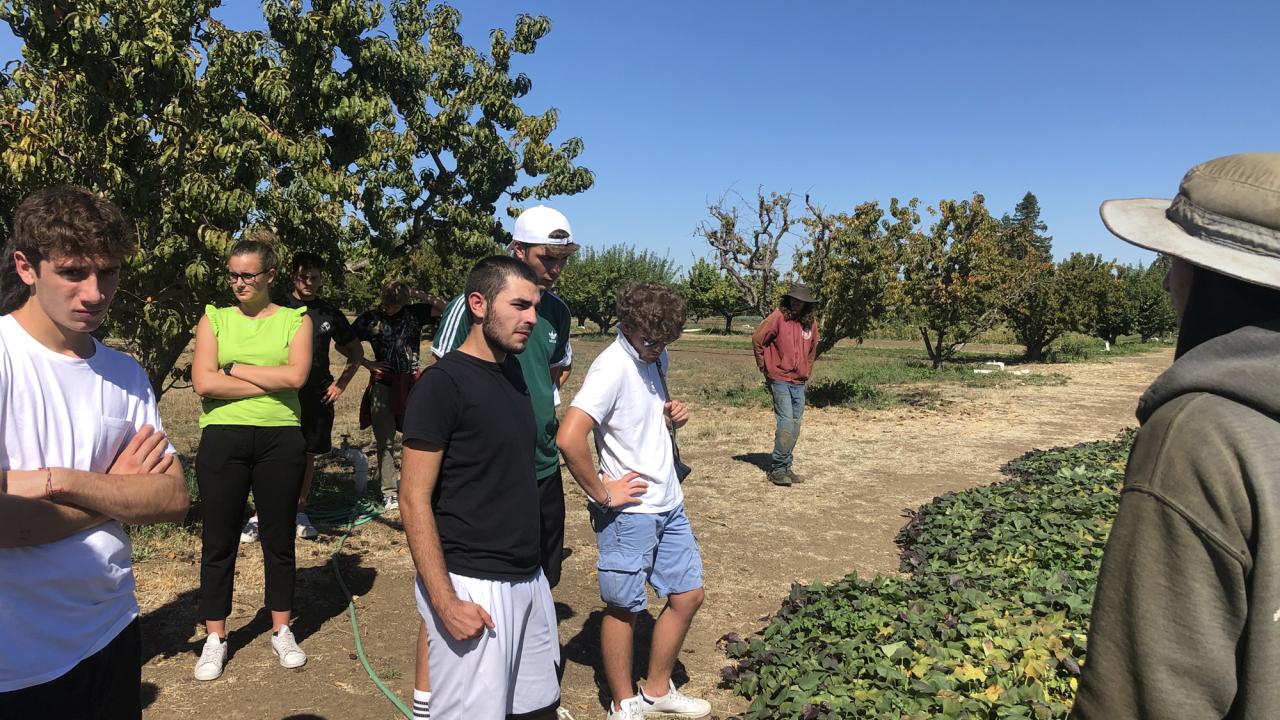 students stand outside the field at Farmboy Organics