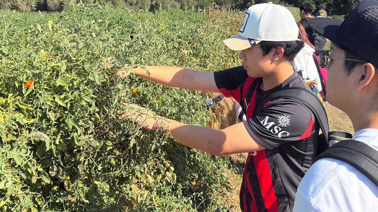 UC Davis international students get hands-on with plants at the UC Davis student farm