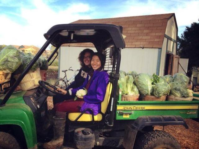 Student volunteers on a vehicle transporting fresh vegetables