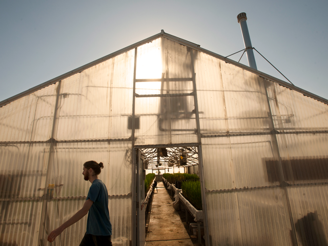 a sustainable agriculture and food systems major walks in front of a greenhouse on