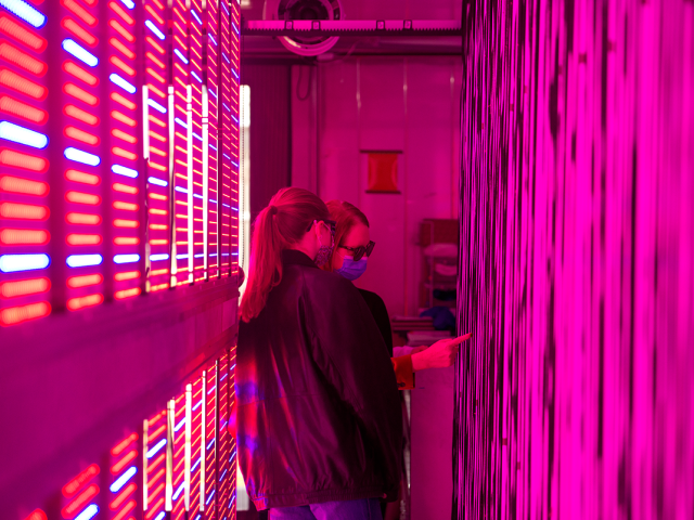undergraduates are look at where seedlings will be placed in a vertical grow farm