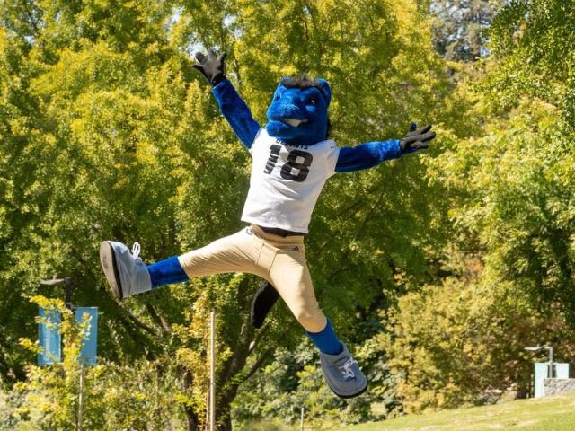 UC Davis mascot Gunrock jumps high against green landscape