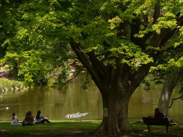 students study at uc davis arboretum