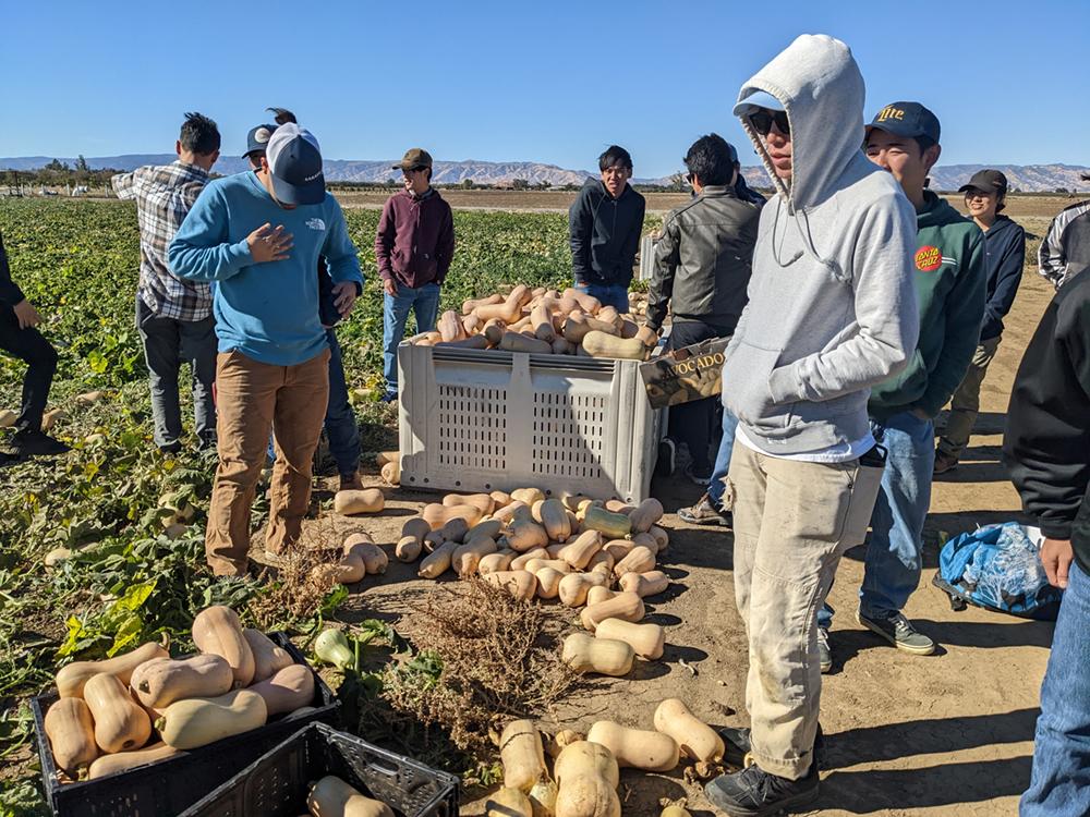 JATP students harvest 6000 pounds of squash