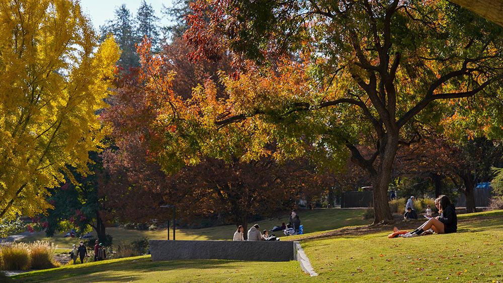 students on the lawn at the UC Davis Arboretum