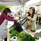 A student loads up a bag with fresh produce from the student farm at the UC Davis Farmer's Market