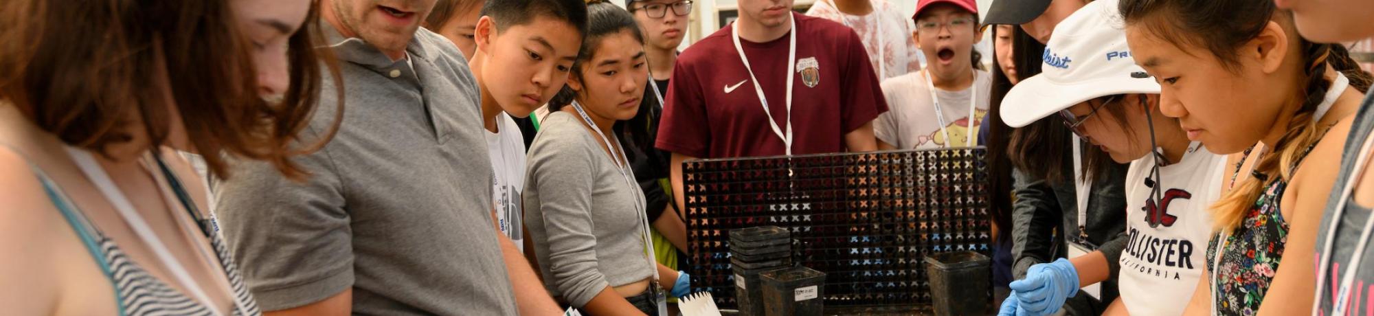 UC Davis students and youth looking at samples