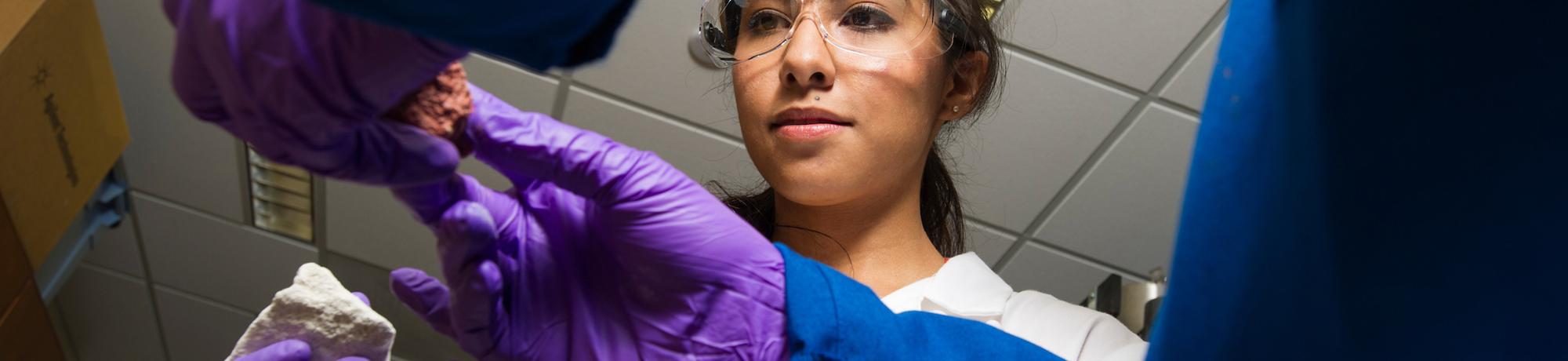 international student interning in research department