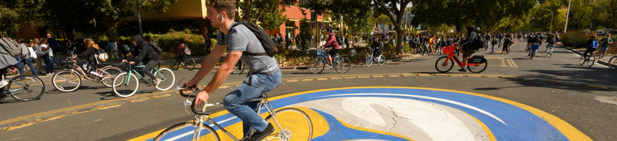 UC Davis bike circle