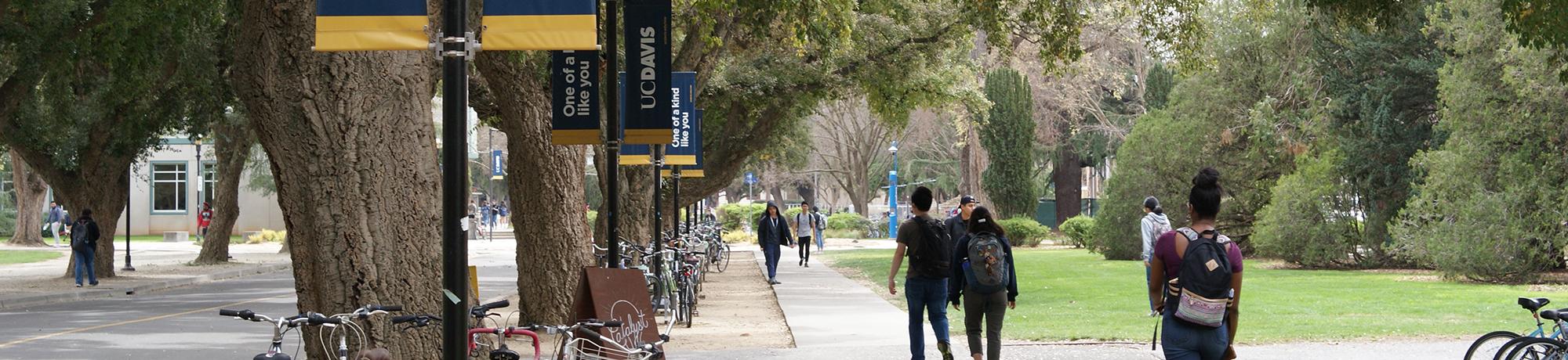 campus view of students on sidewalk and UC Davis Banners