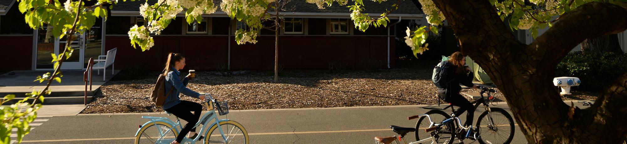 student on bike with blooming spring flowers