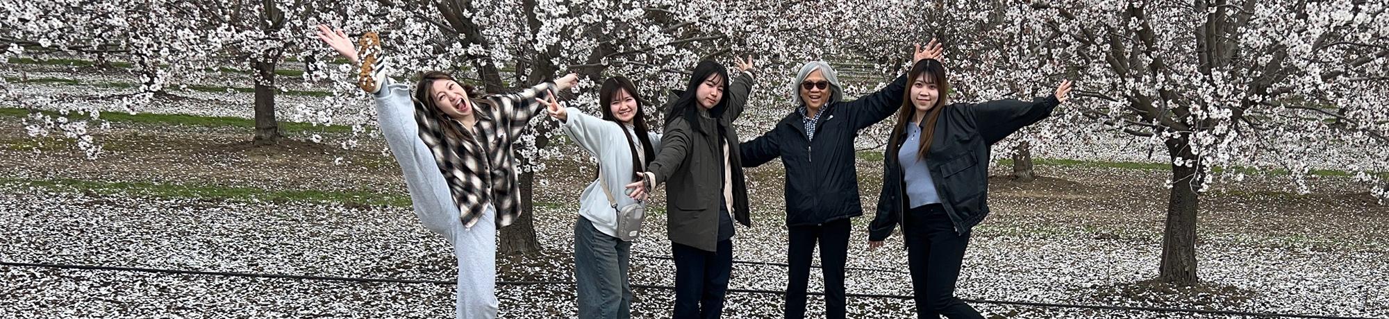 A group of International students poses under almond flowers