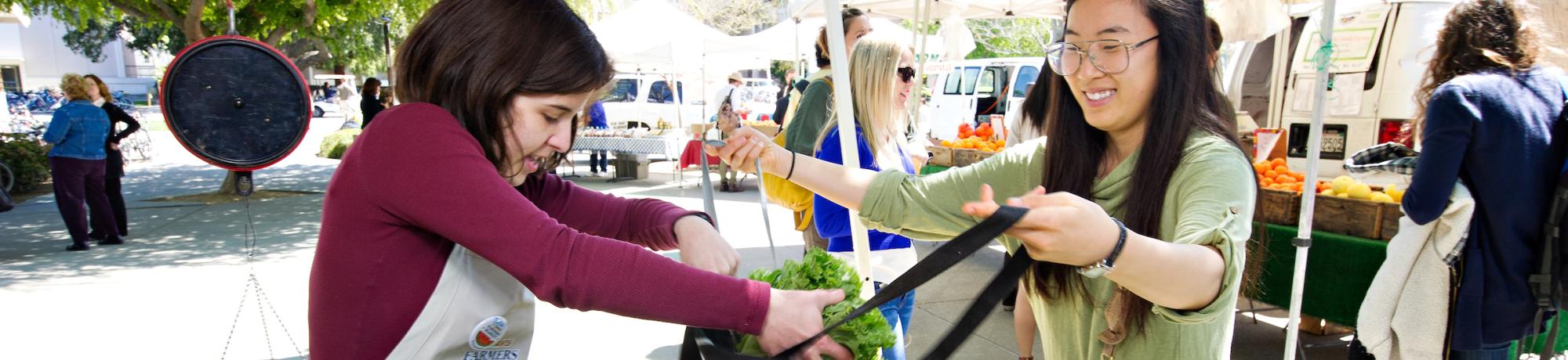 A student loads up a bag with fresh produce from the student farm at the UC Davis Farmer's Market